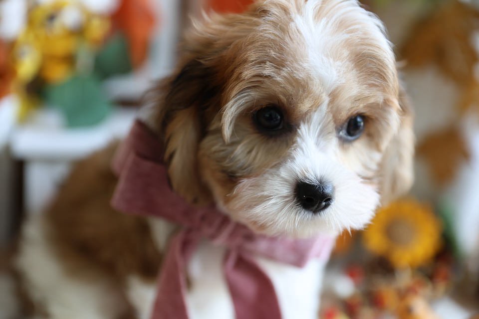 EB9A1669.jpg
