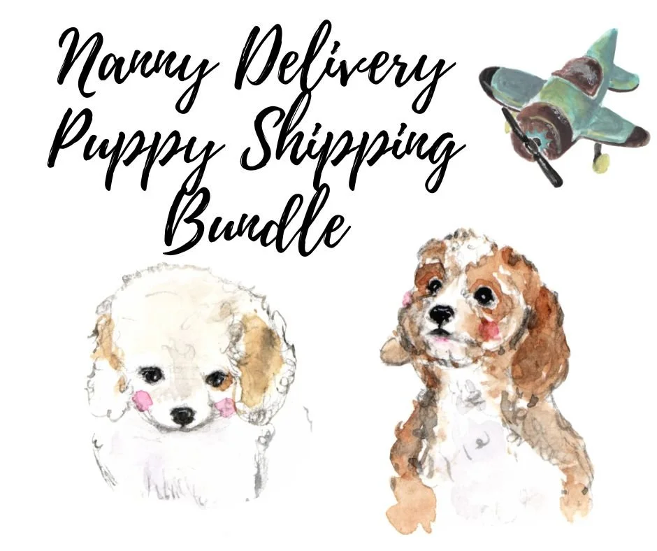 Puppy Delivery Nanny Shipping Bundle Graphic