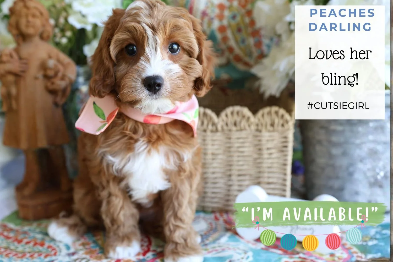 Foxglove Farm Peaches Darling "I'm Available!"