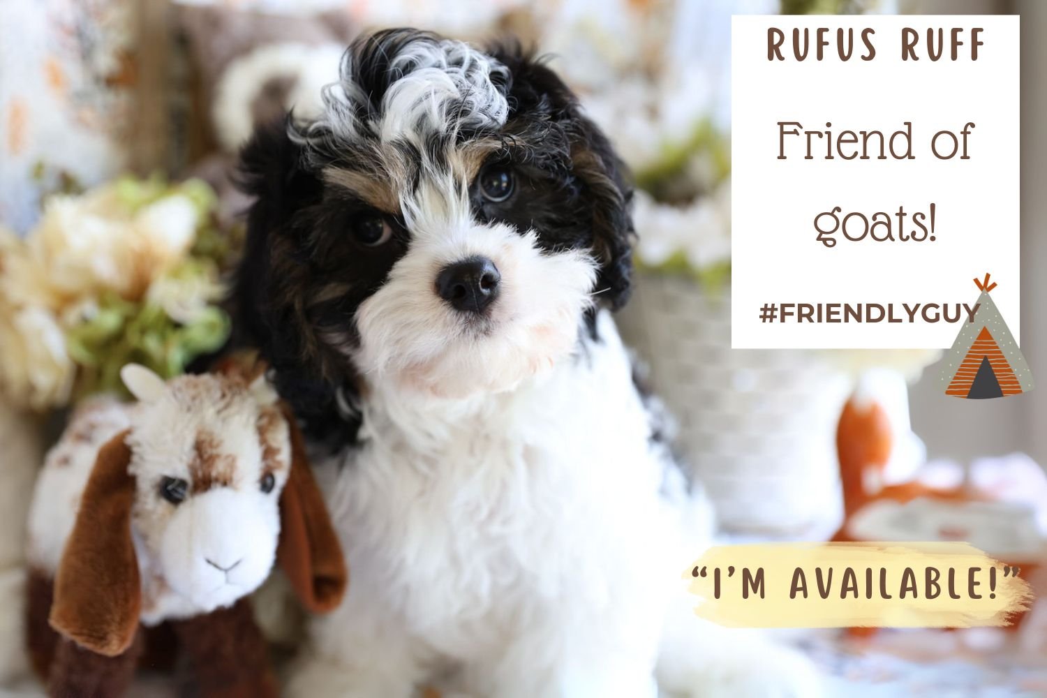 Foxglove Farm Rufus Ruff "I'm Available!"