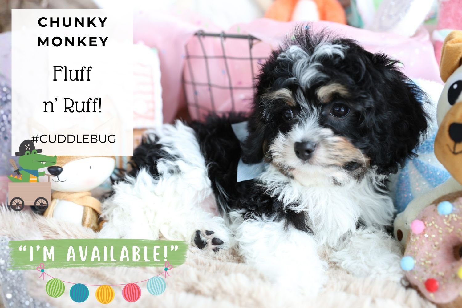 Foxglove Farm Chunky Monkey  "I'm Available!"