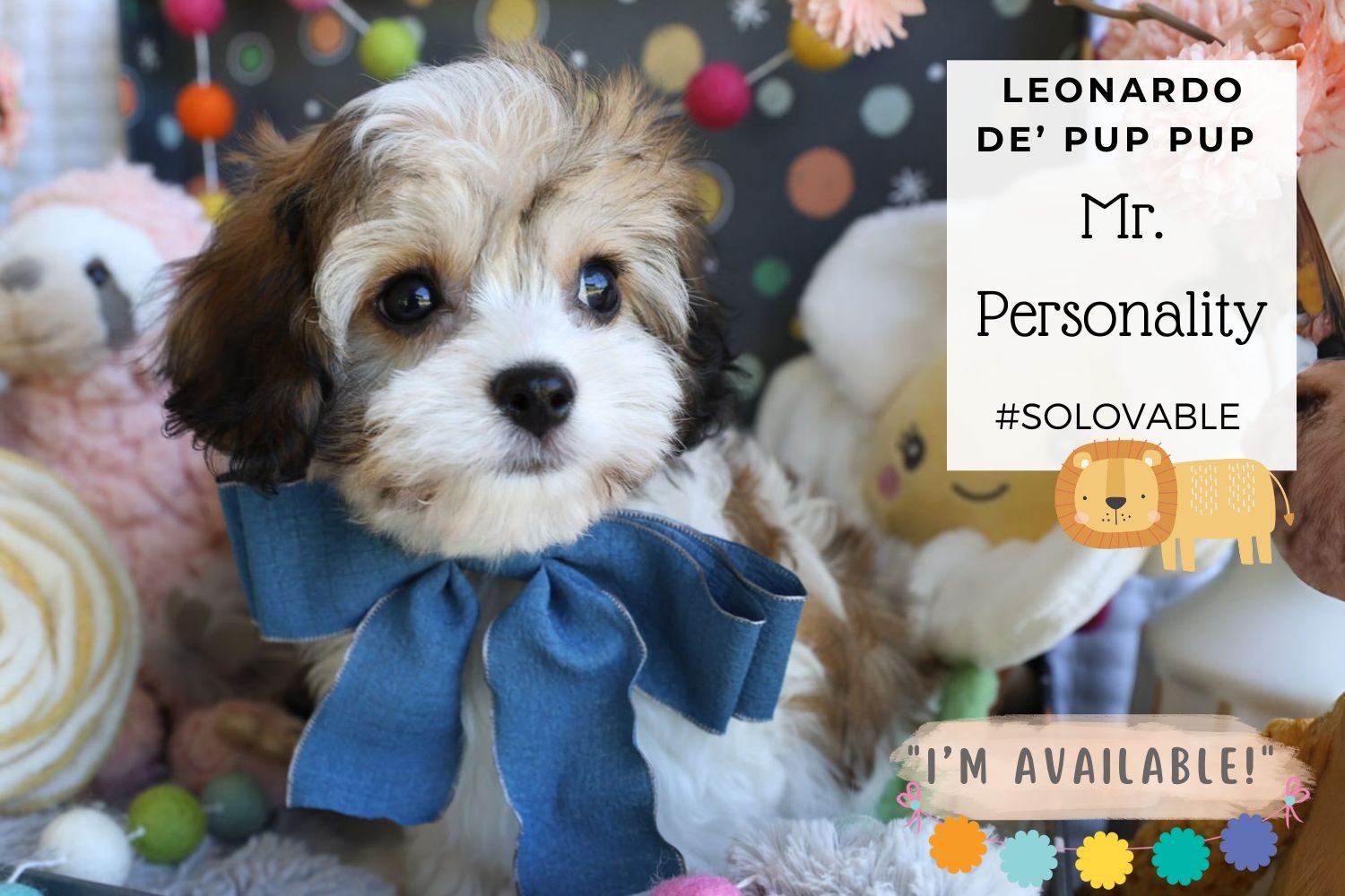 Foxglove Farm Leonardo De' Pup Pup 