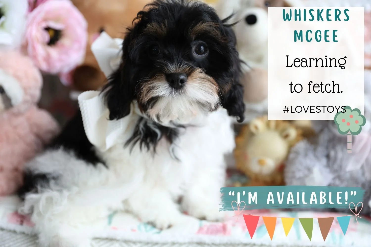 Foxglove Farm Whiskers McGee "I'm Available!"