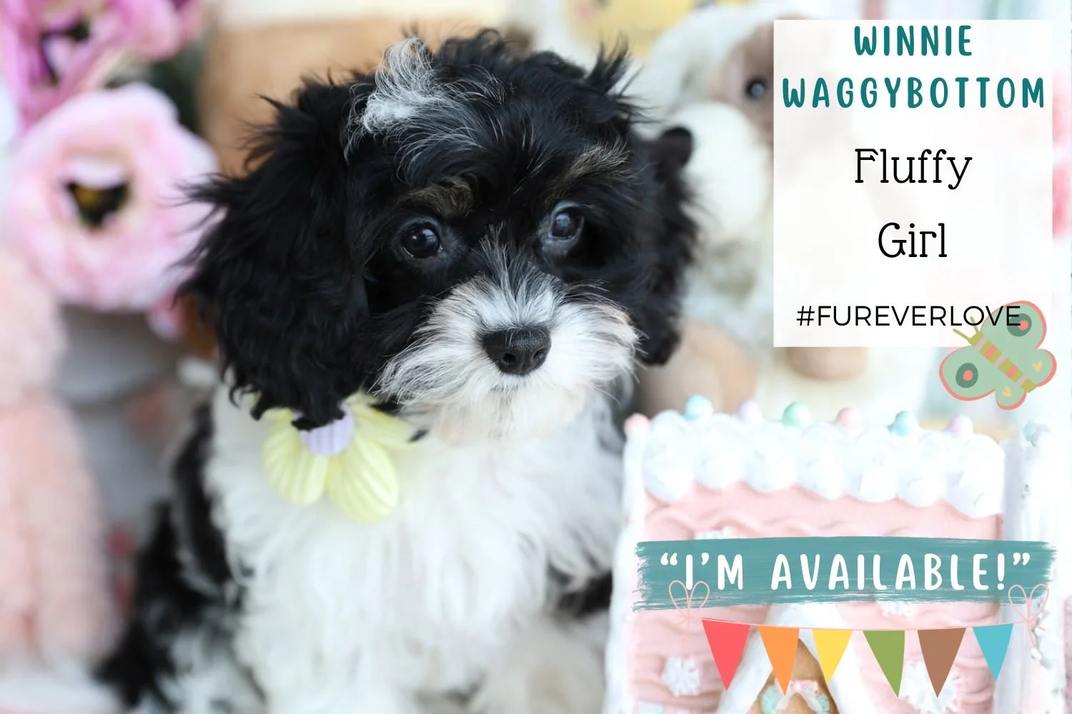 Winnie Wagglebottom "I'm Available!"