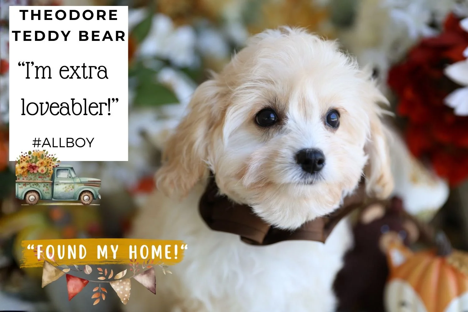 Foxglove Farm Theodore Teddy Bear "Please don't purchase me! I'm on HOLD for Nancy!"