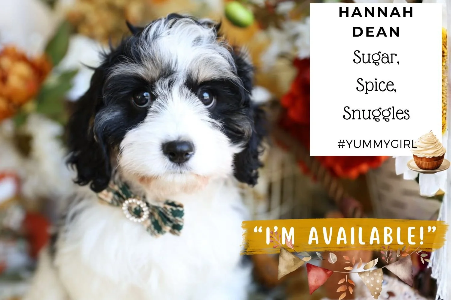 Foxglove Farm Hannah Dean "Please don't purchase me! I'm on HOLD for Ellen in New Jersey!"