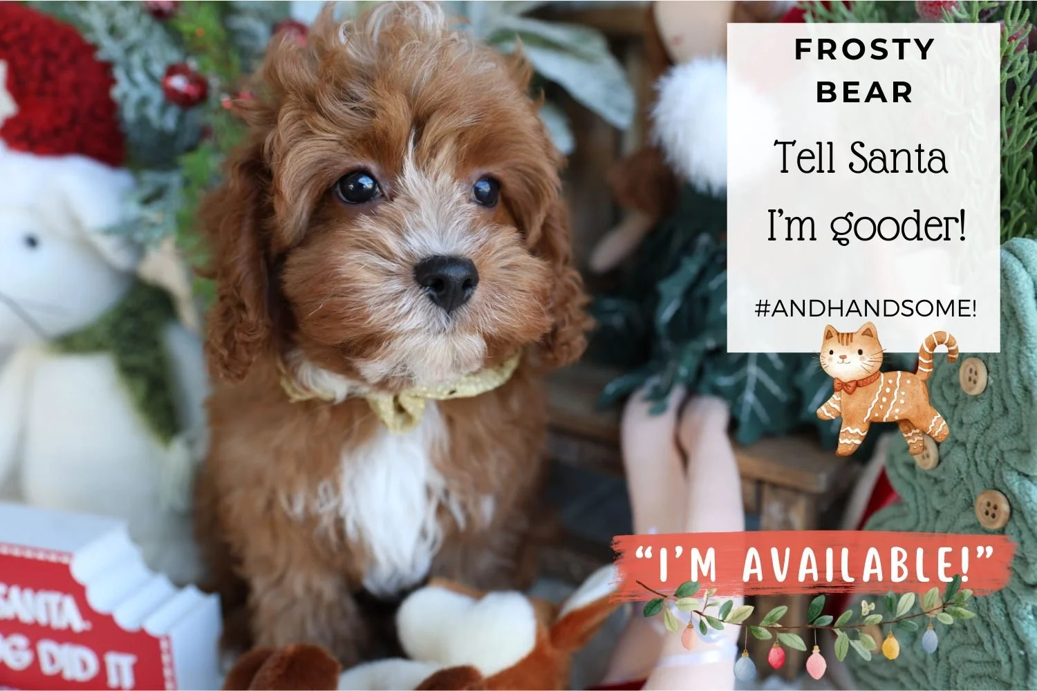 Foxglove Farm Frosty Bear "I'm Available!"