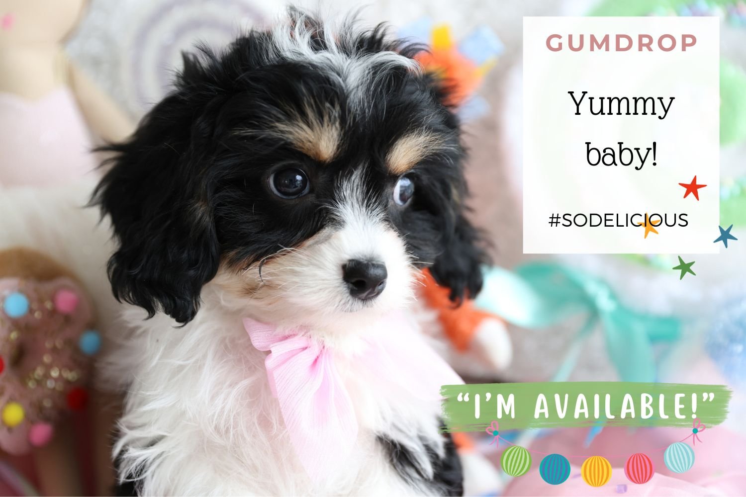 Foxglove Farm Gumdrop "Please don't purchase me! I'm on HOLD for Kaye who needs me!"