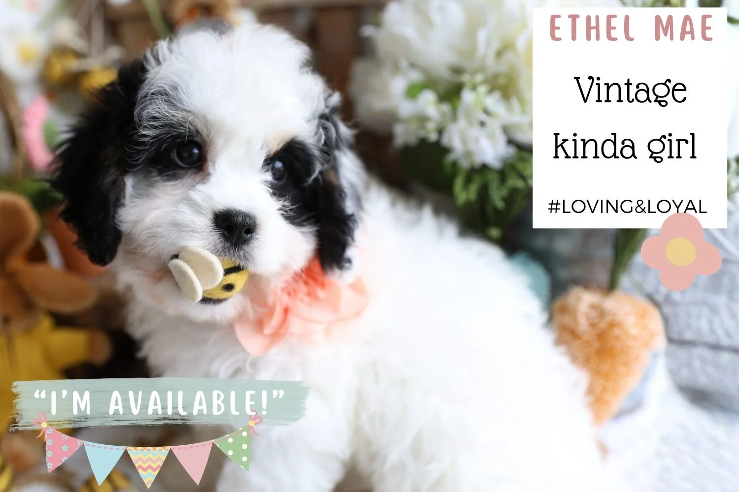 Foxglove Farm Ethel Mae "I'm Available!"