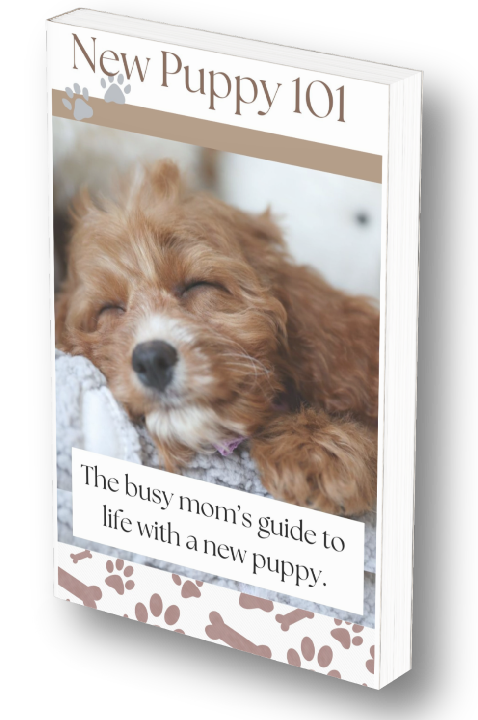 Cavapoo training guide digital book cover