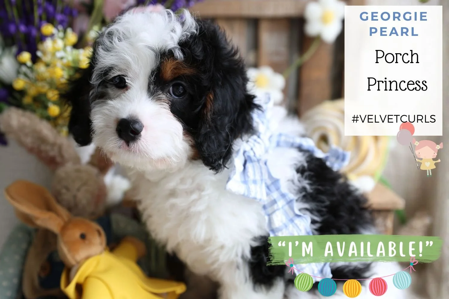 Foxglove Farm Georgie Pearl "I'm Available!"