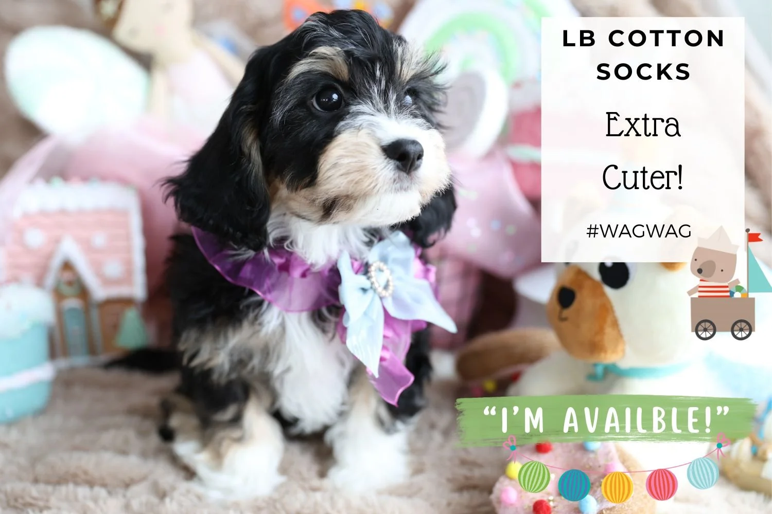 Foxglove Farm LB Cotton Socks "I'm Available!"