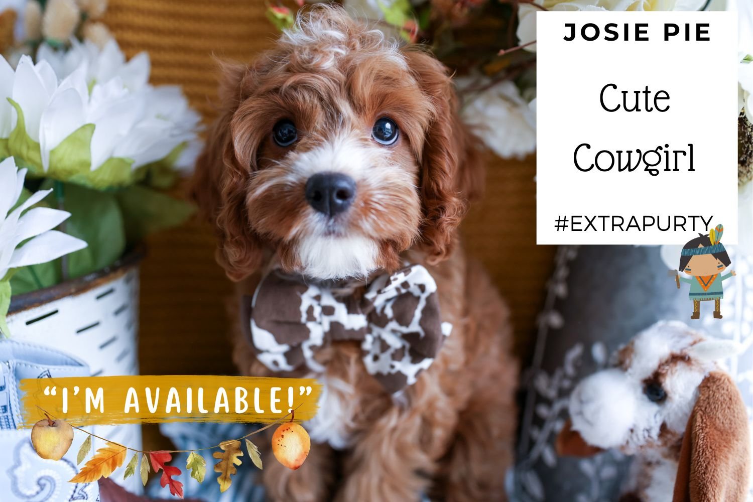 Cavapoo-cute-bowtie-and-toys.jpg