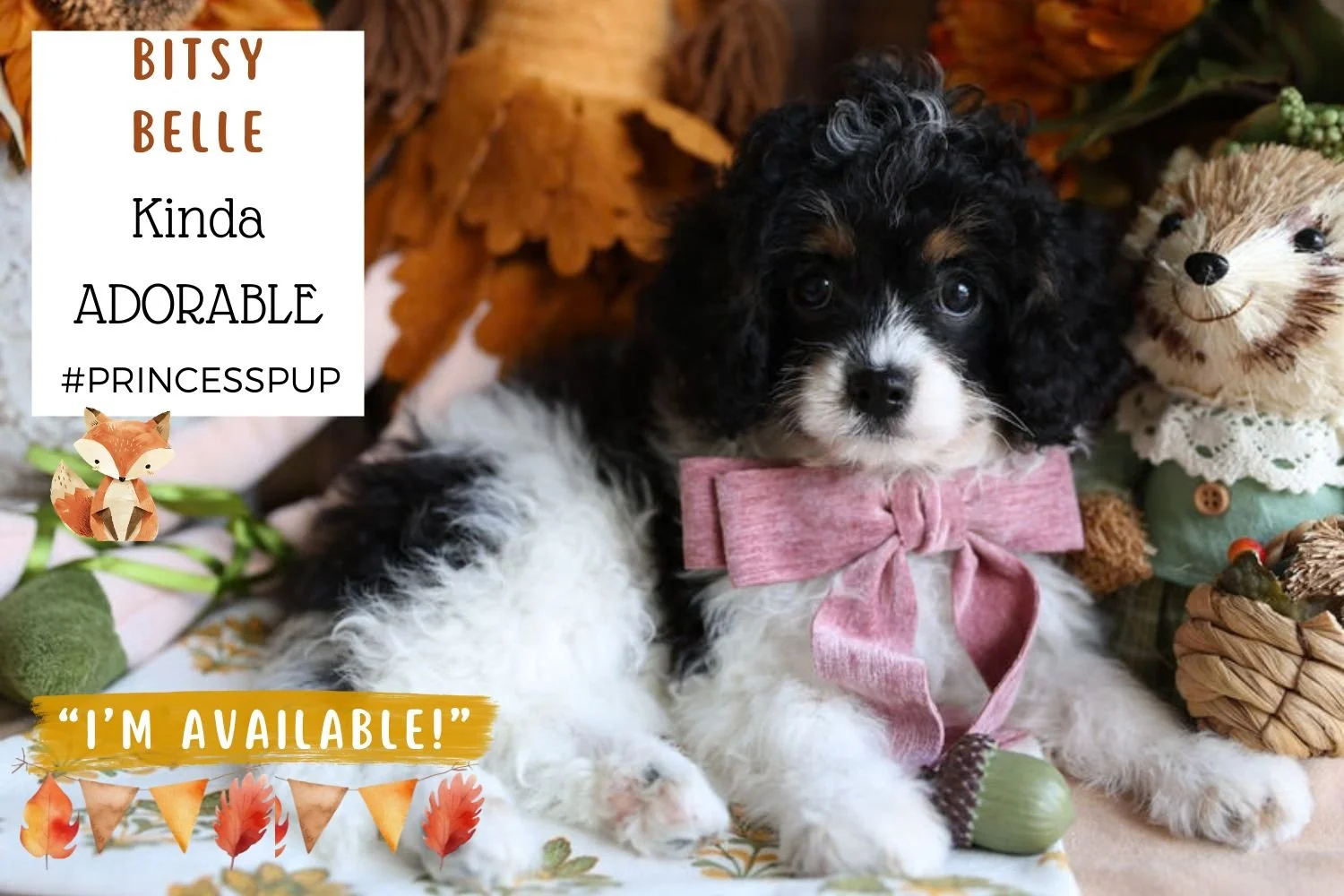 Foxglove Farm Bitsy Belle "I'm Available!"