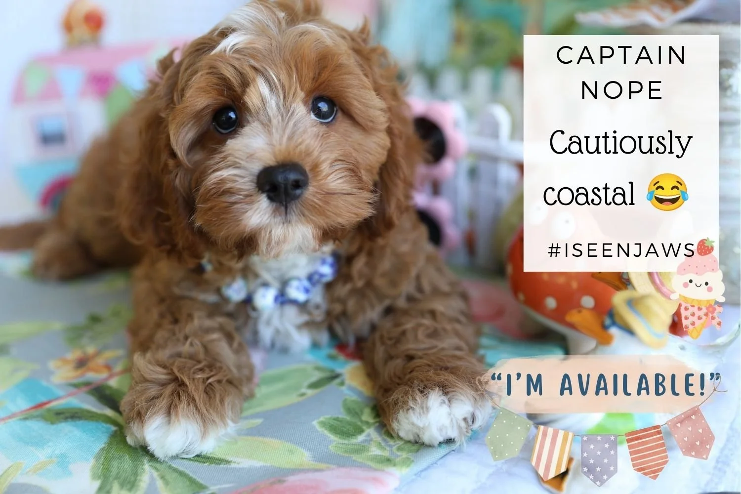 Foxglove Farm Captain Nope "I'm Available!"