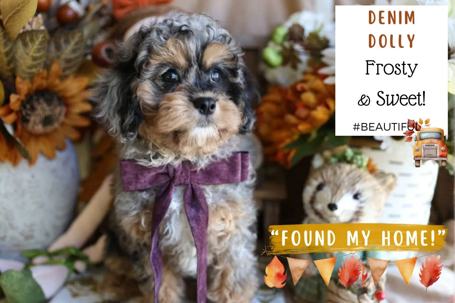 Foxglove Farm Denim Dolly "I'm Available!"