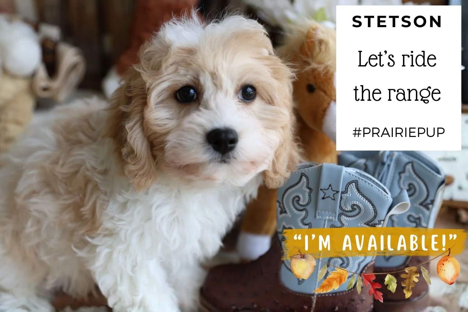 Foxglove Farm Stetson "I'm Available!"