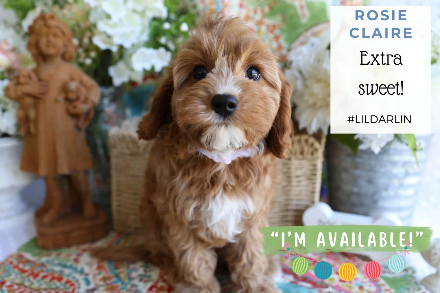 Foxglove Farm Rosie Claire "I'm Available!"