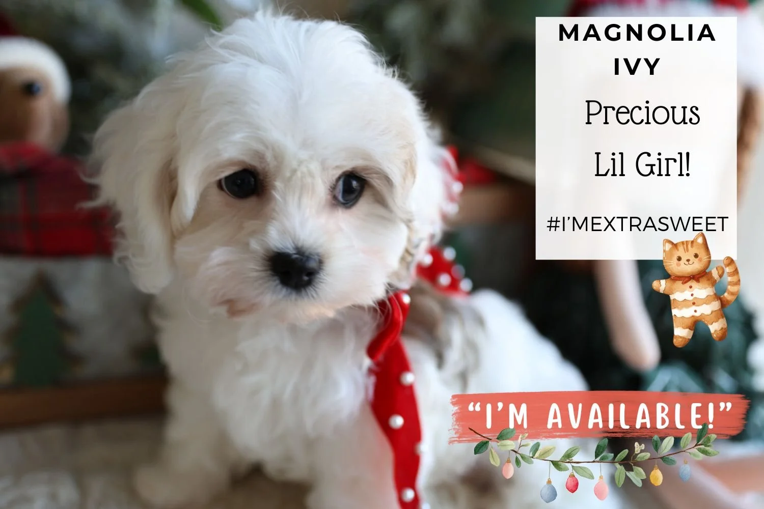 Magnolia Ivy Deposit Invoice for Janet only please 😊