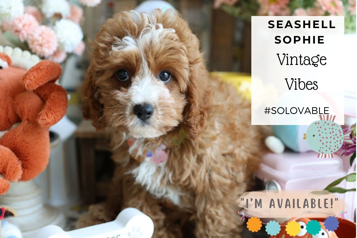 Foxglove Farm Seashell Sophie "I'm Available!"