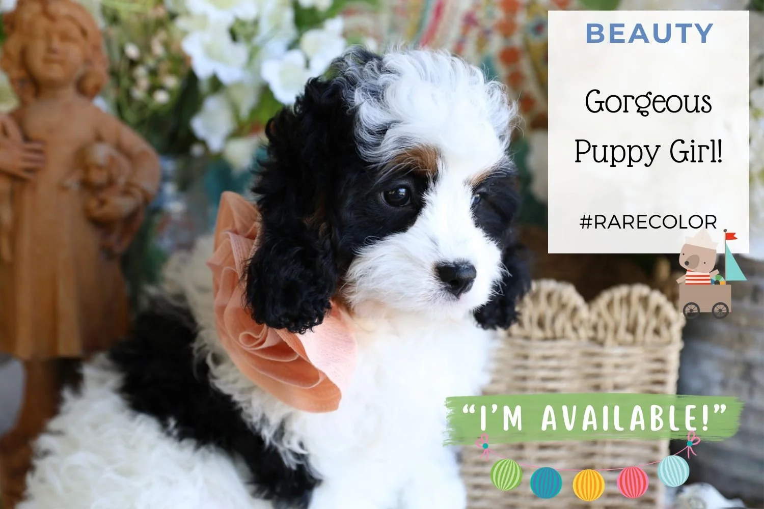 Foxglove Farm Beautiful "I'm Available!"