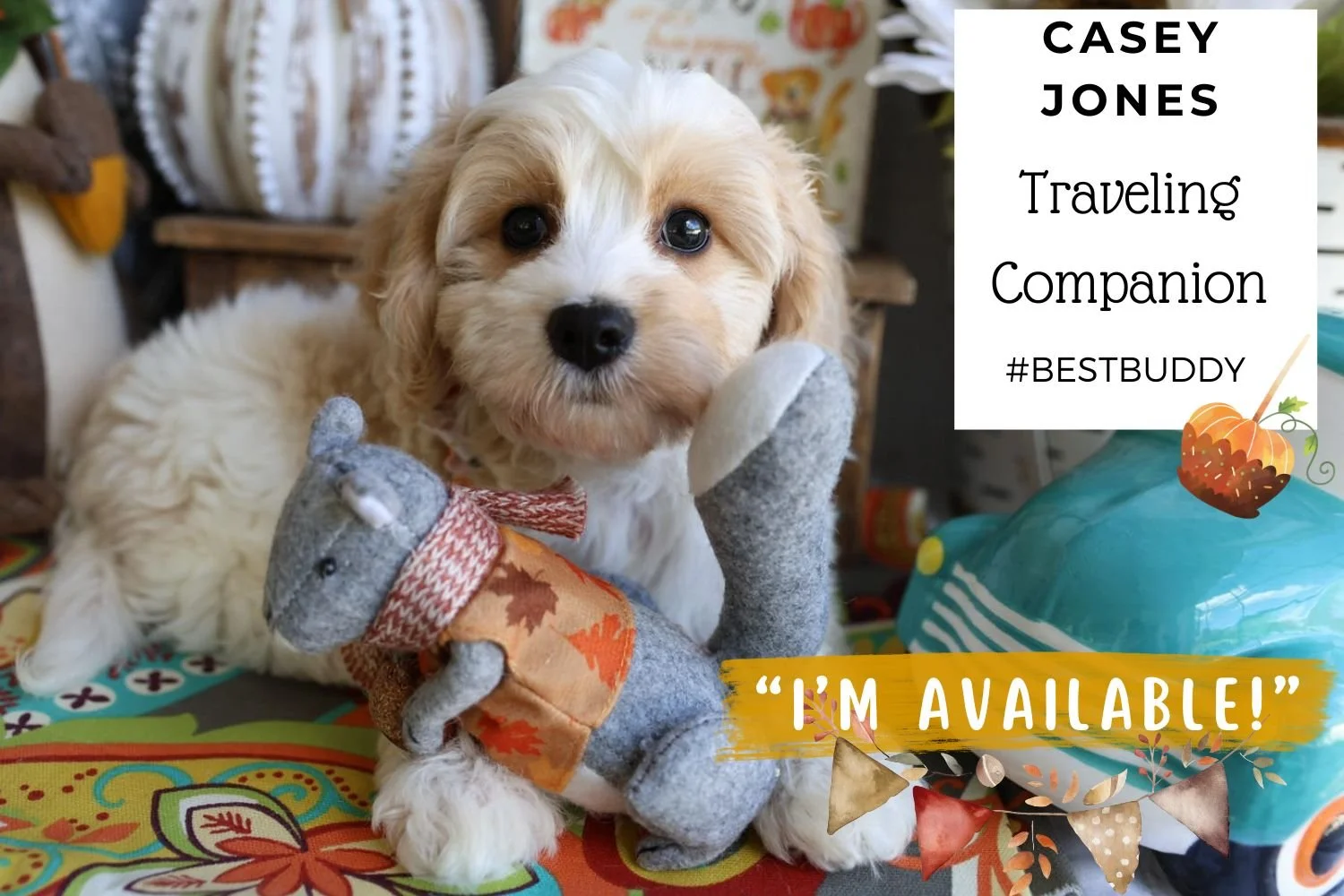 Foxglove Farm Casey Jones "I'm Available!"