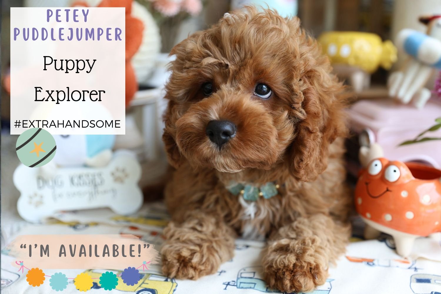 Foxglove Farm Petey Puddlejumper "Please don't purchase me! I'm on HOLD for Jason & his family in Michigan!"