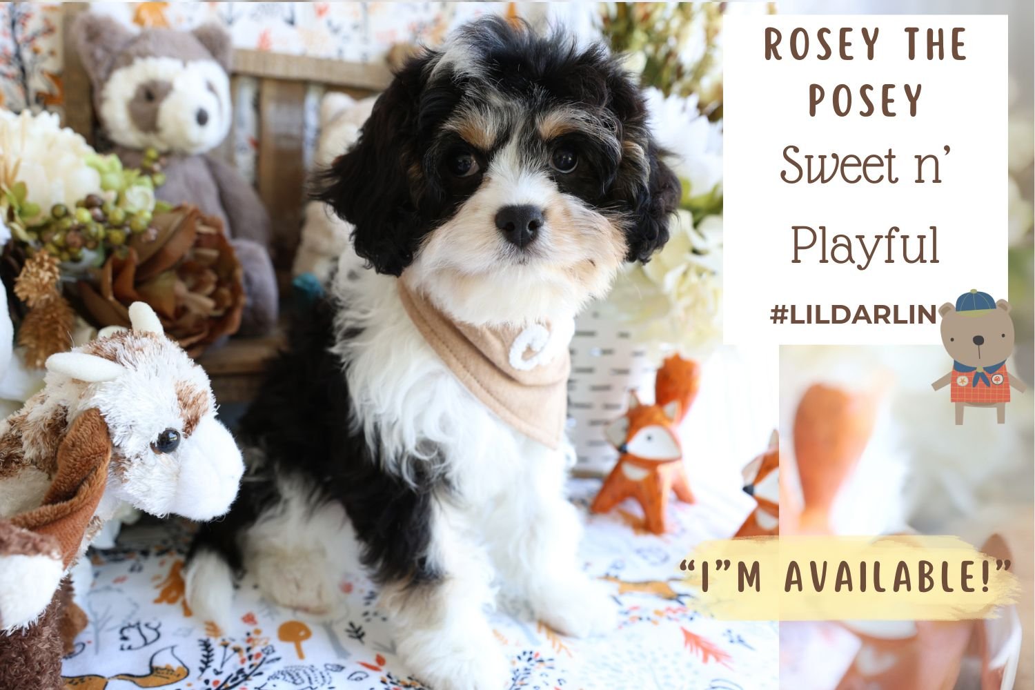 Foxglove Farm Rosey the Posey "Please don't purchase me! I'm on HOLD for Andrea in NC!"