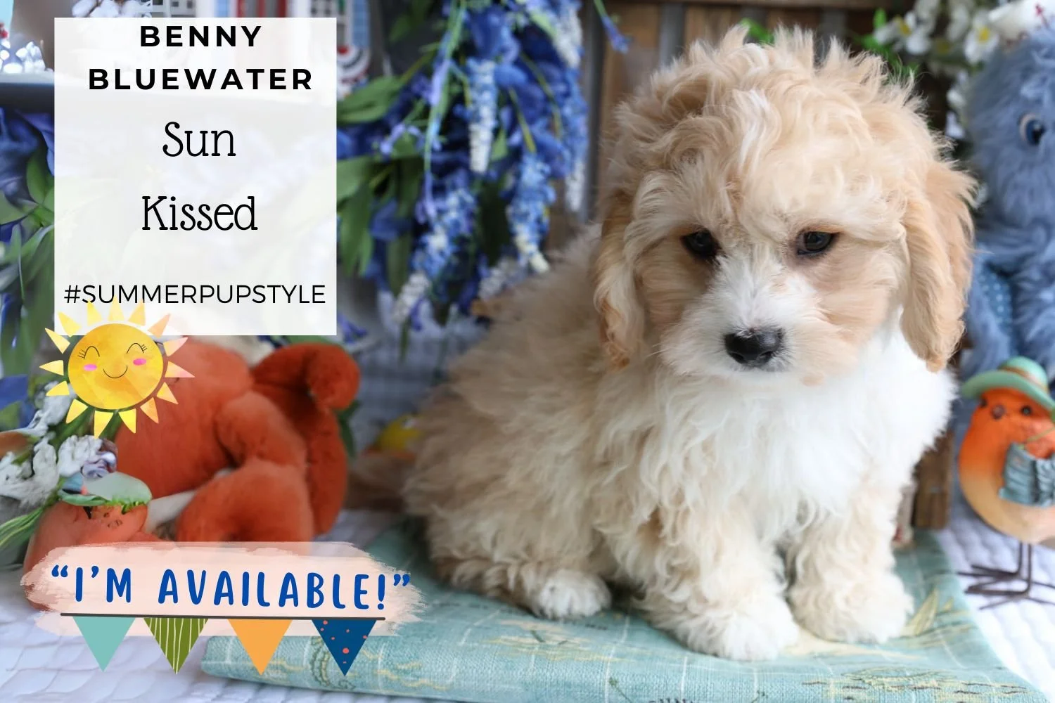 Foxglove Farm Benny Bluewater 