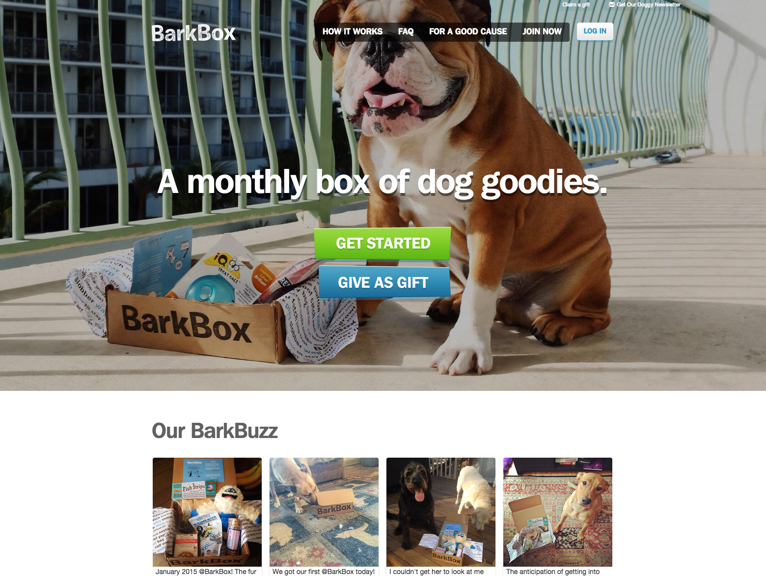 barkbox.png