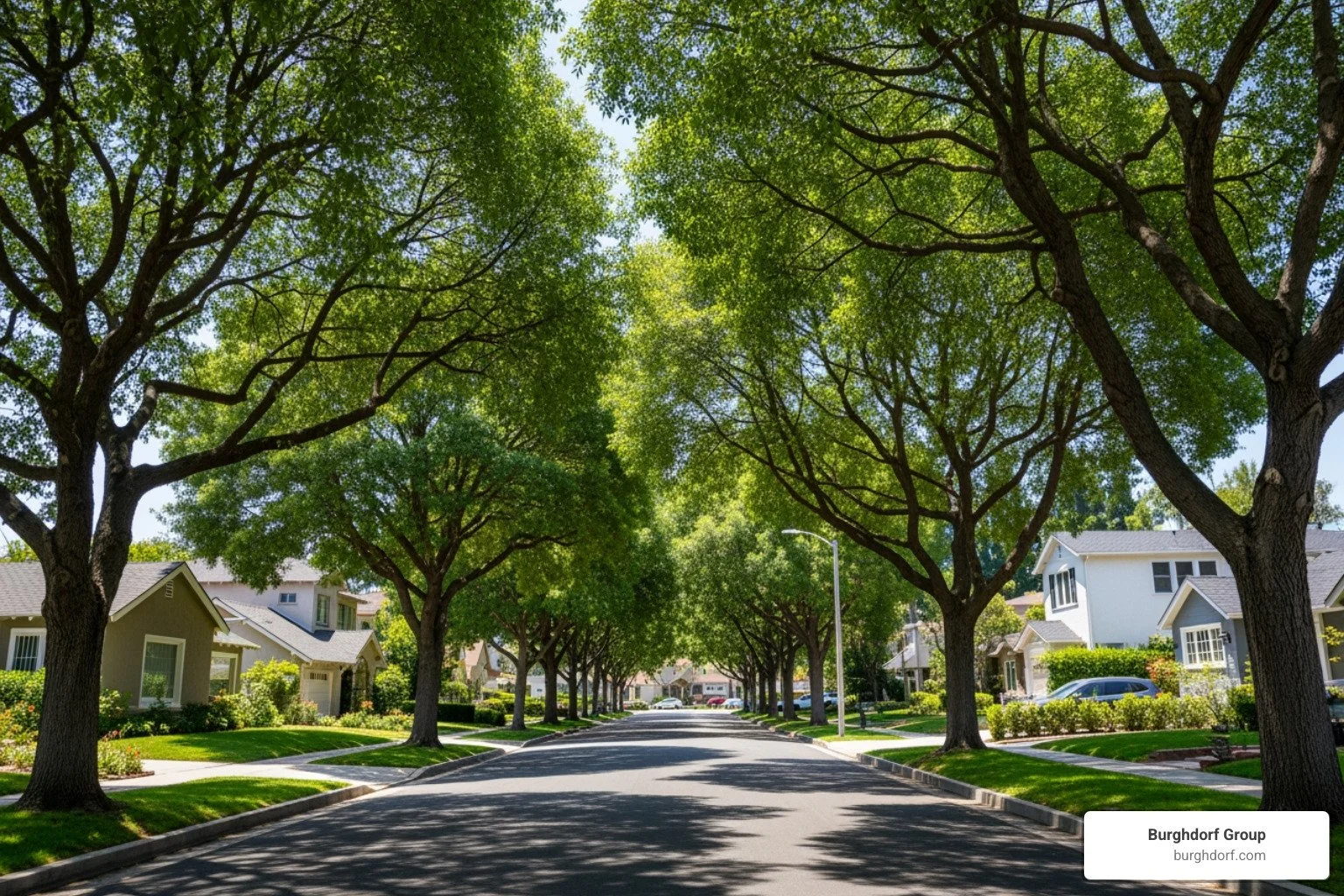 A Guide to the Most Serene and Tree-Lined Streets in Sherman Oaks