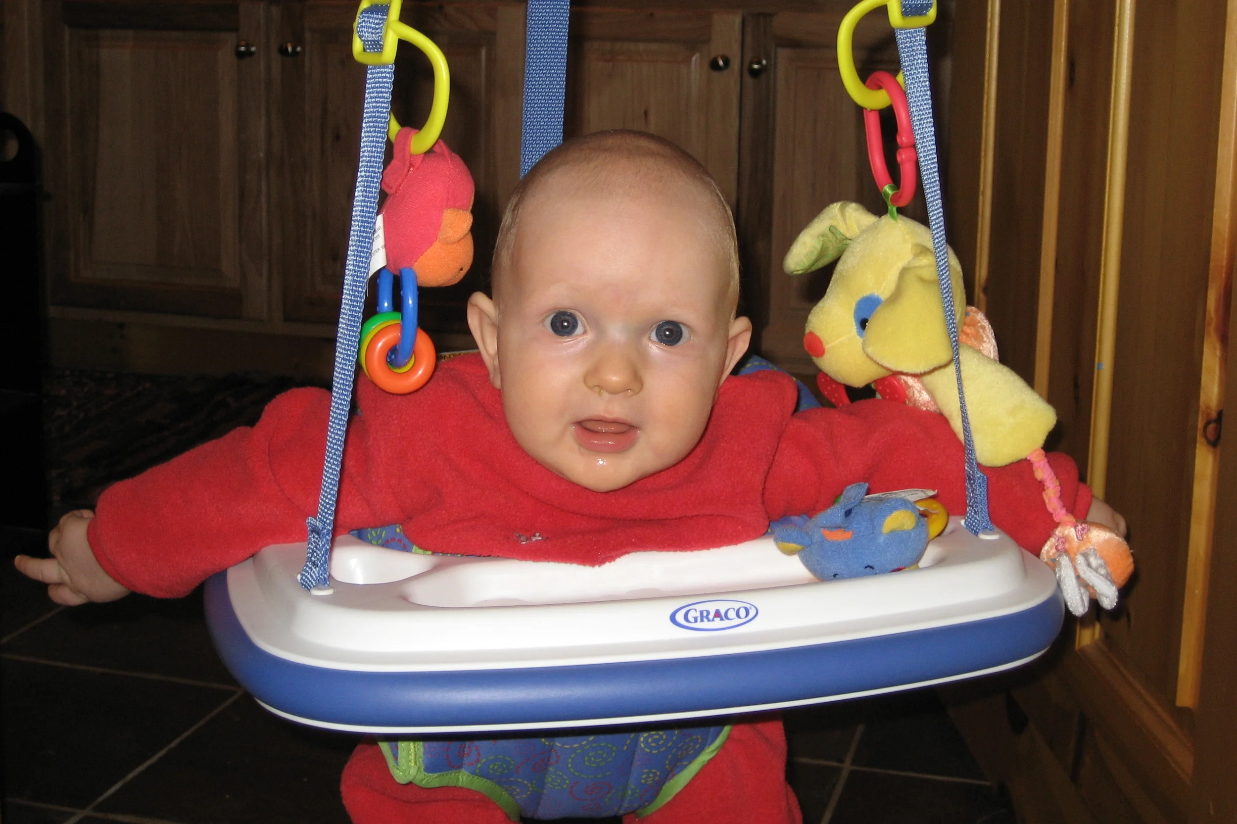 Fiddlehead Dental Fiddlehead Dental