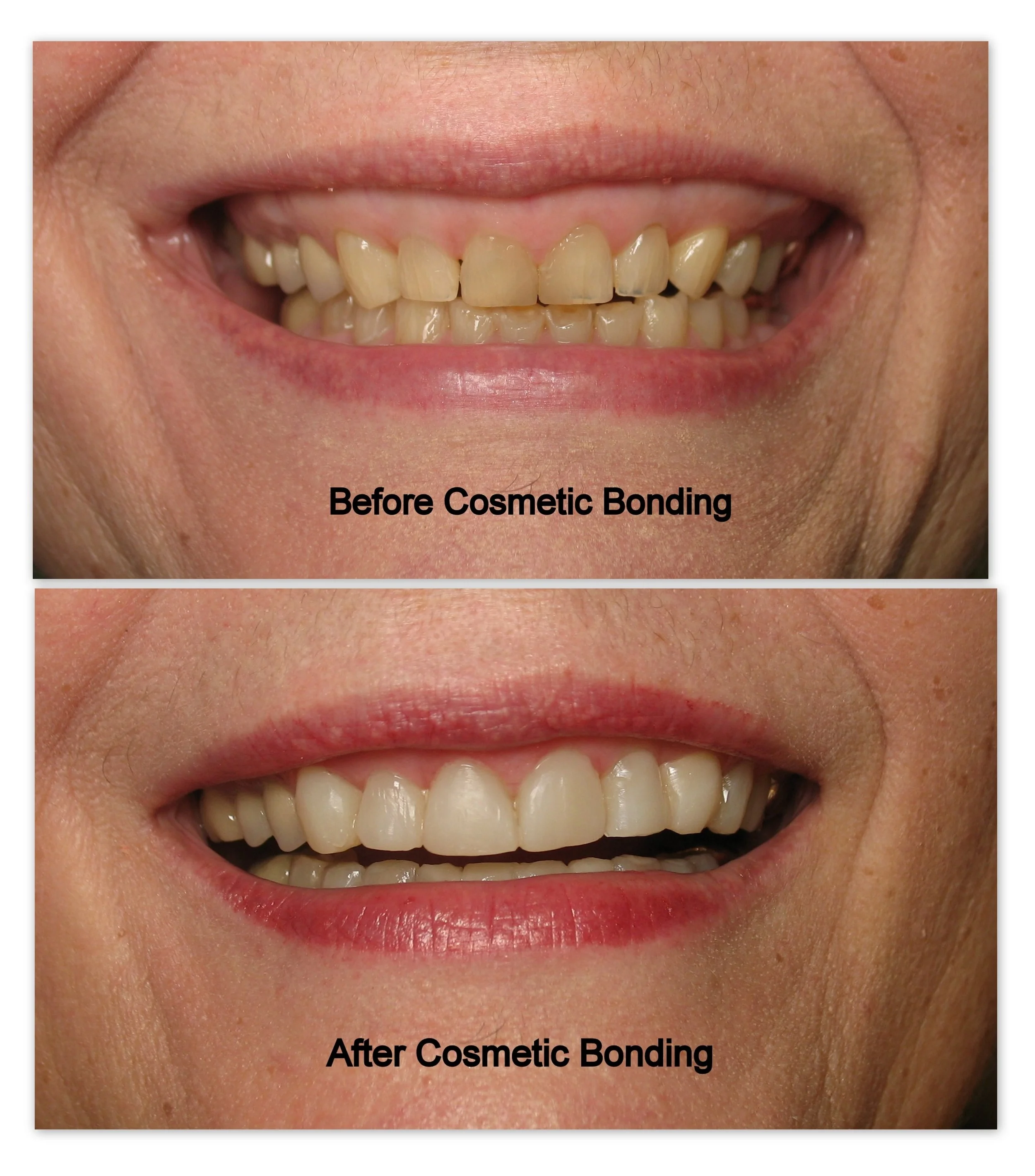 Fiddlehead Dental Fiddlehead Dental