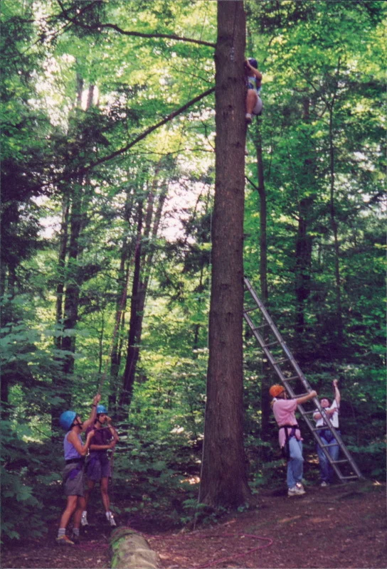 climbing in the trees! yikes!