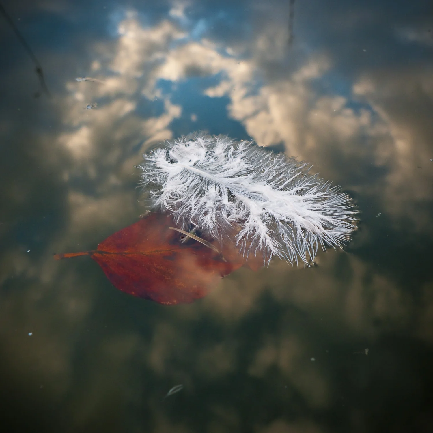 Fallen from the Sky, Beacon Hill, Exton