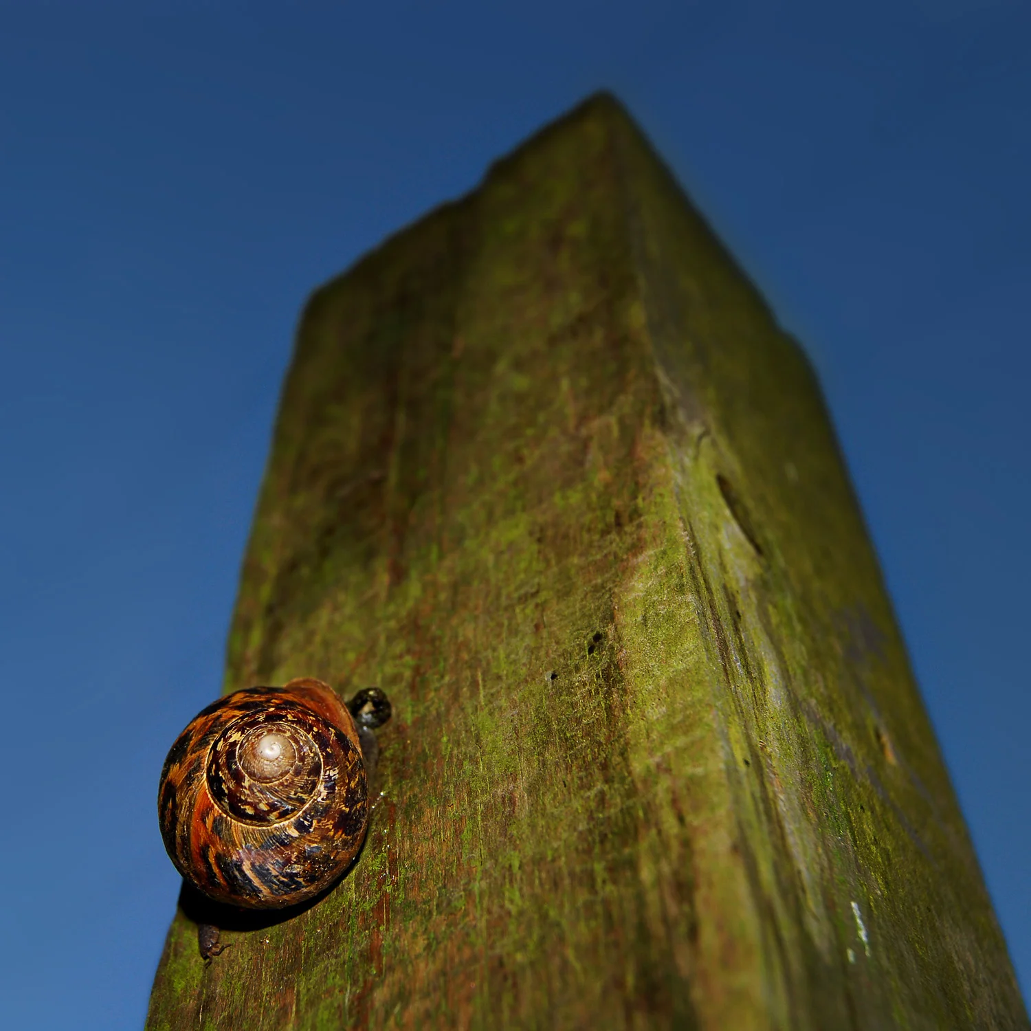 Road to Nowhere, Poppit Sands