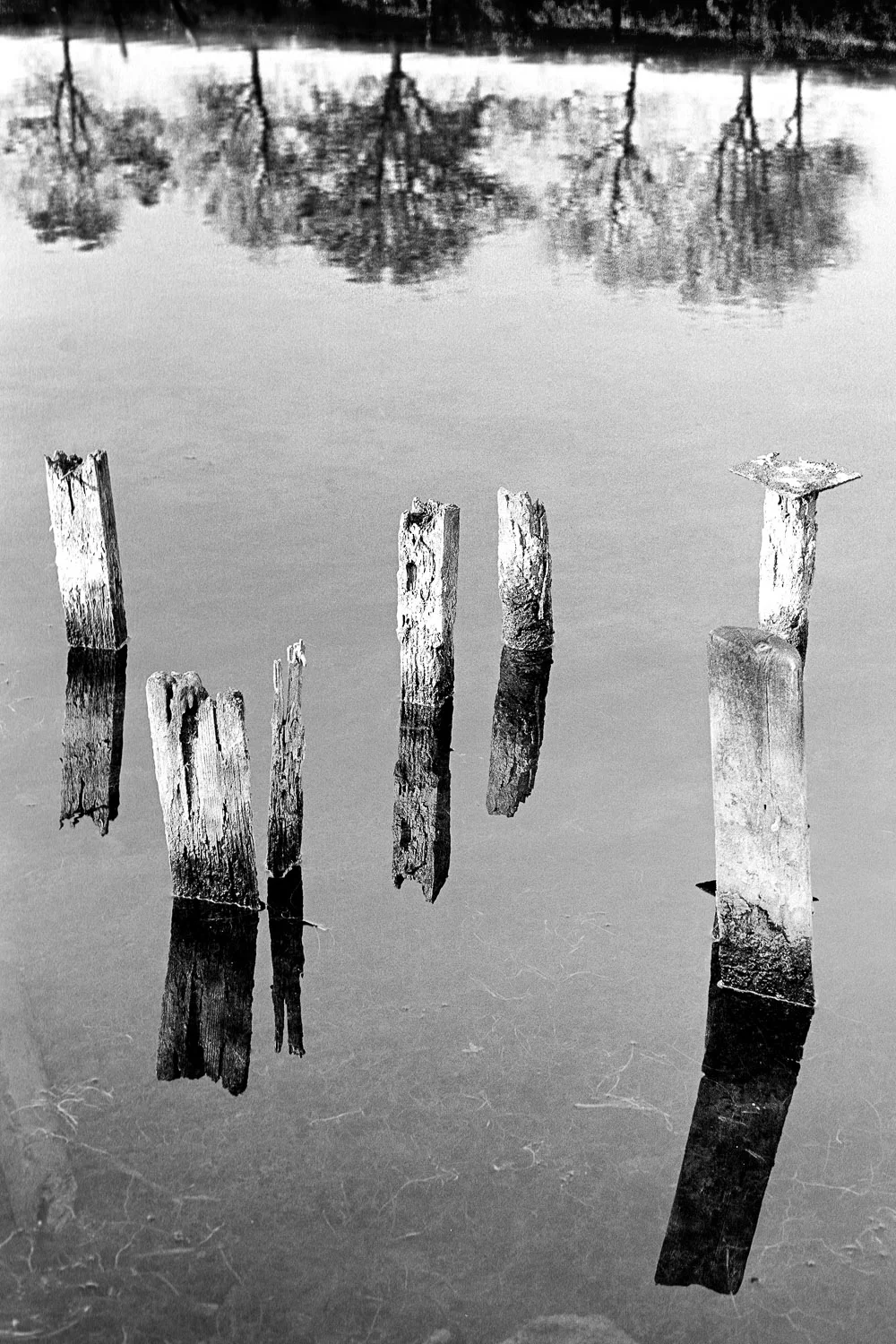 Black Pond, Thoresway