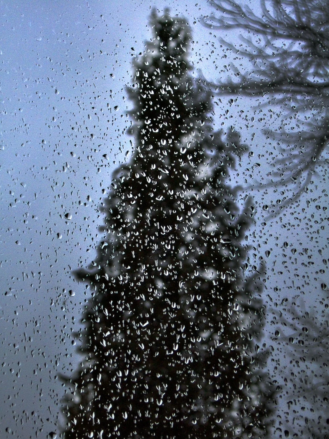 Rainy Day Through My Office Window