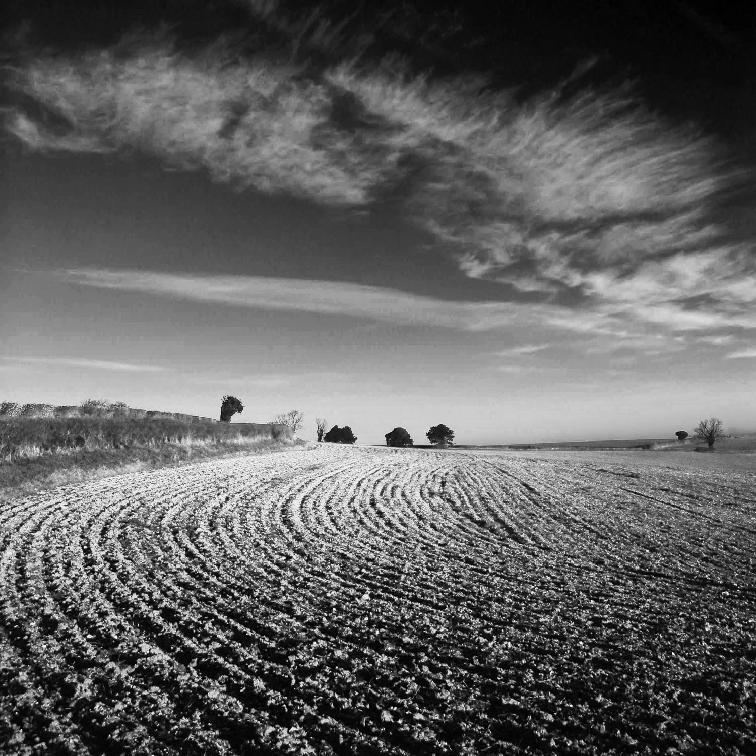 Corhampton Down