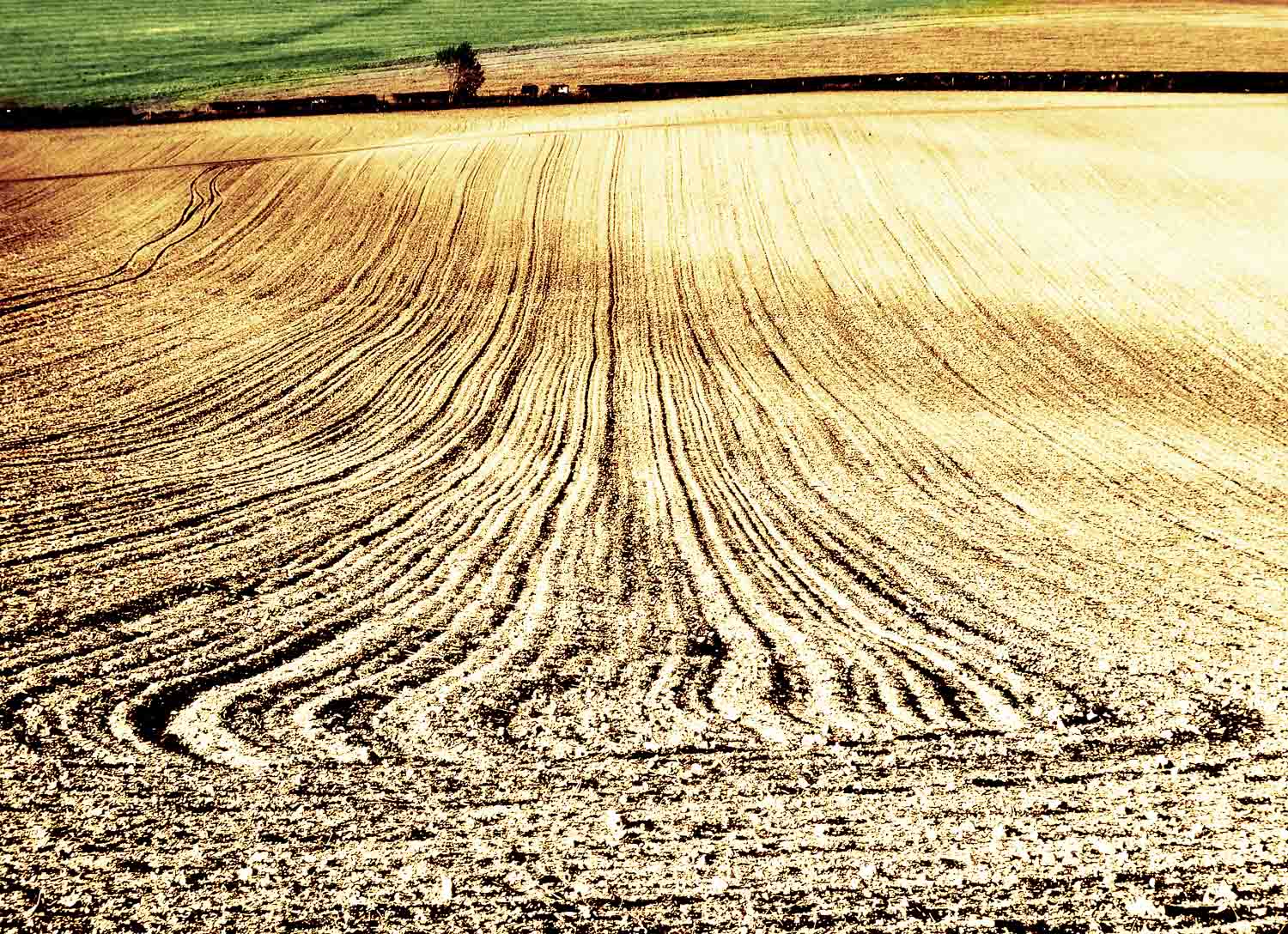 Ploughed Field, Farley Mount