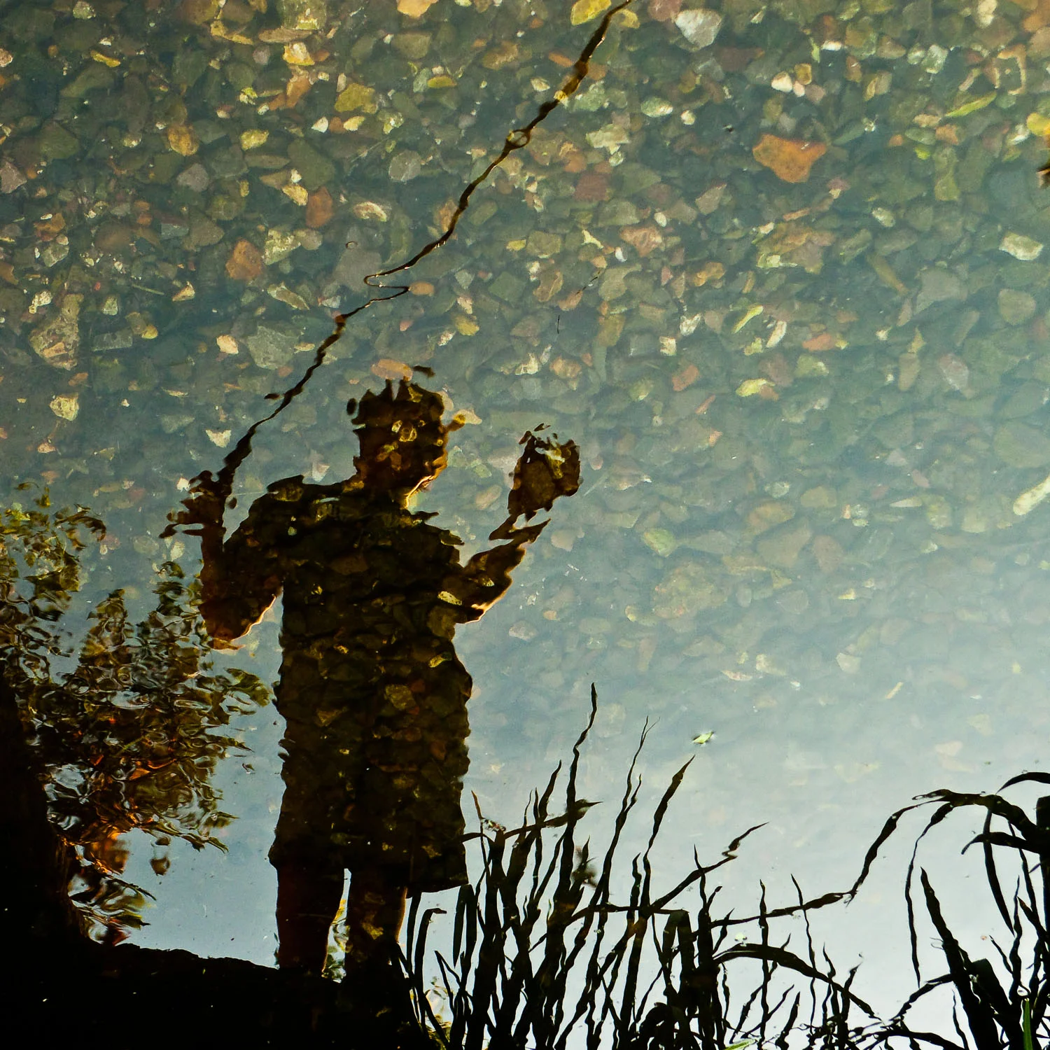 Fishing for Minnows