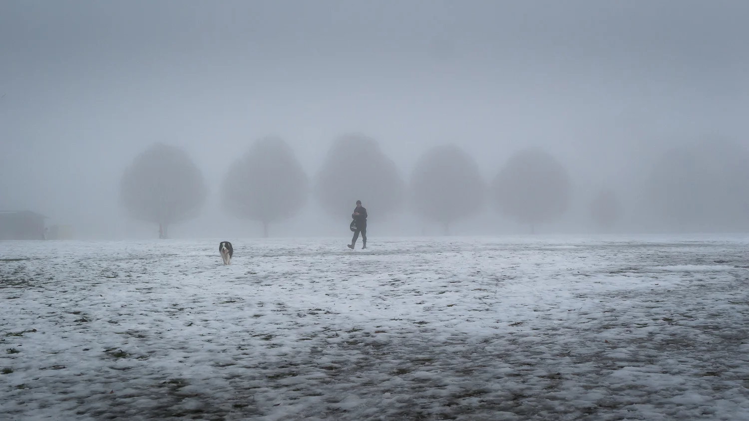 Winter Dogwalking, North Walls Park