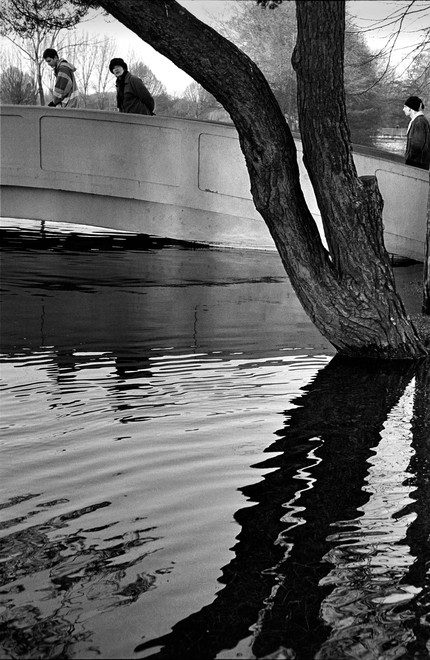 Floods at North Walls Park, Winchester