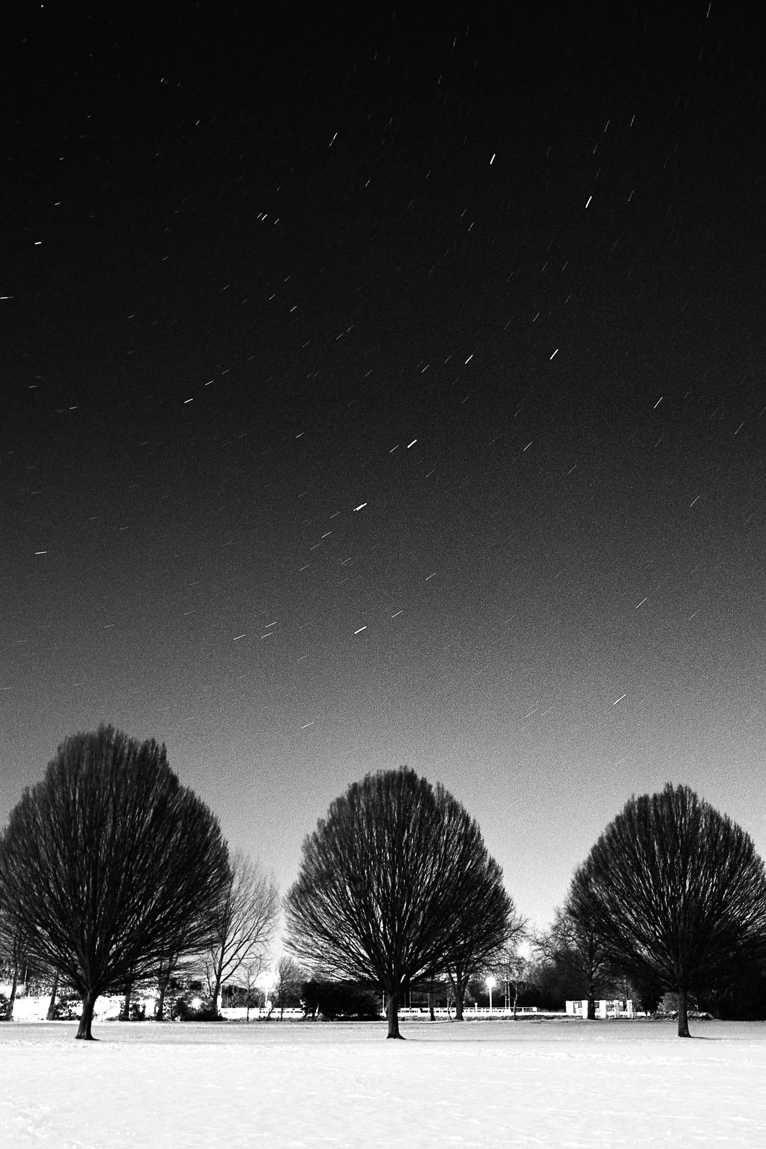 Three Trees and the Plough, North Walls Park