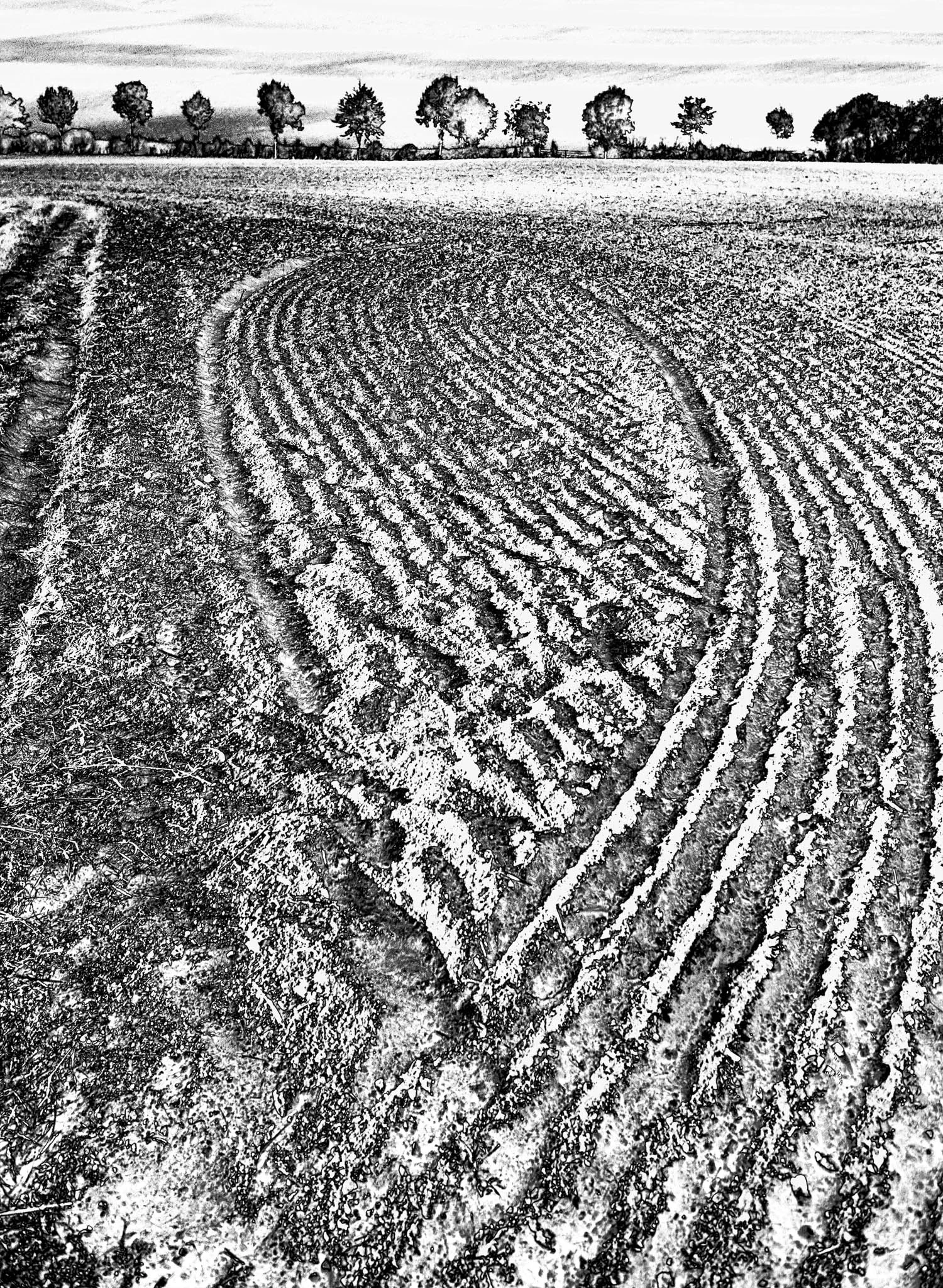 September Field, Farley Mount