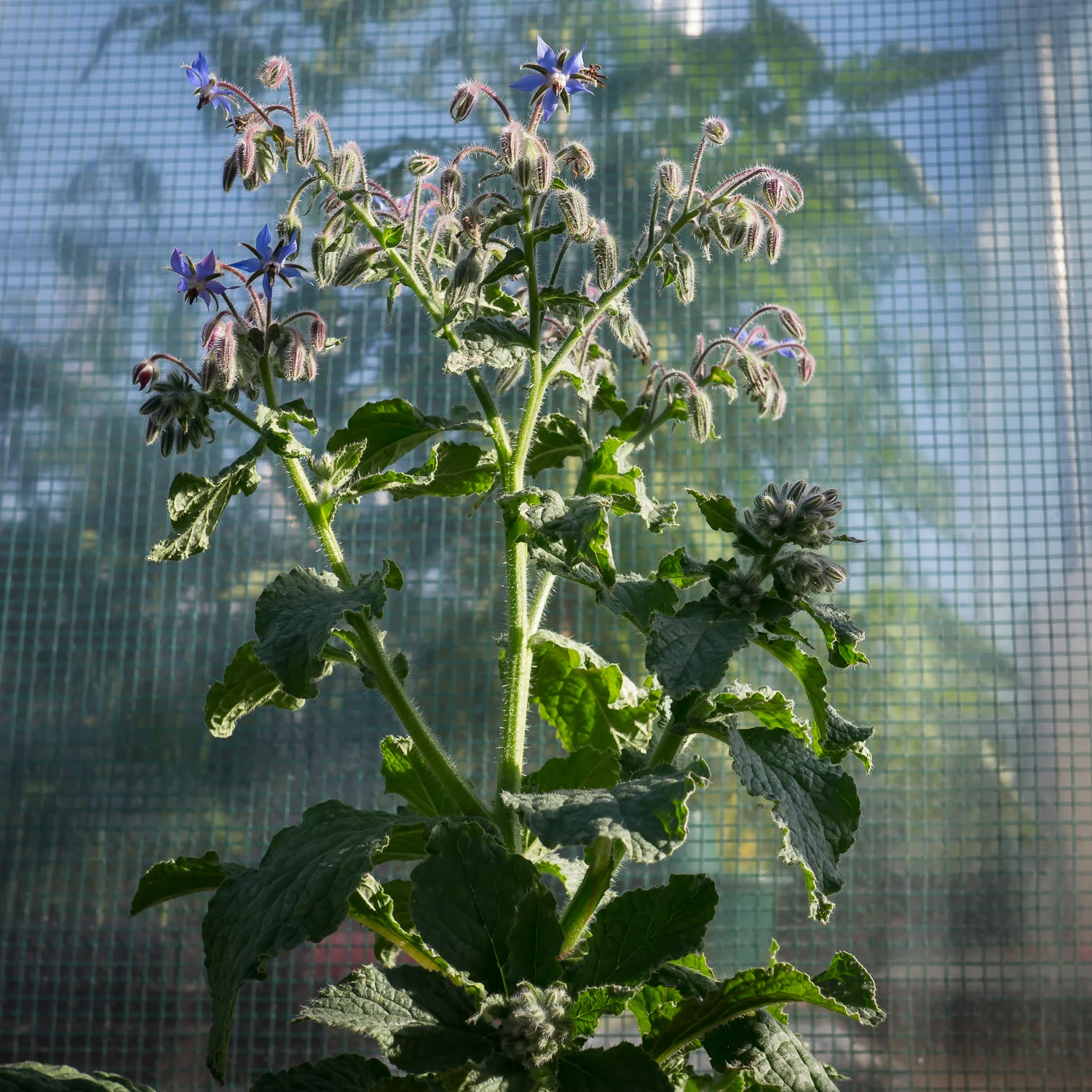 abundance-3.jpg