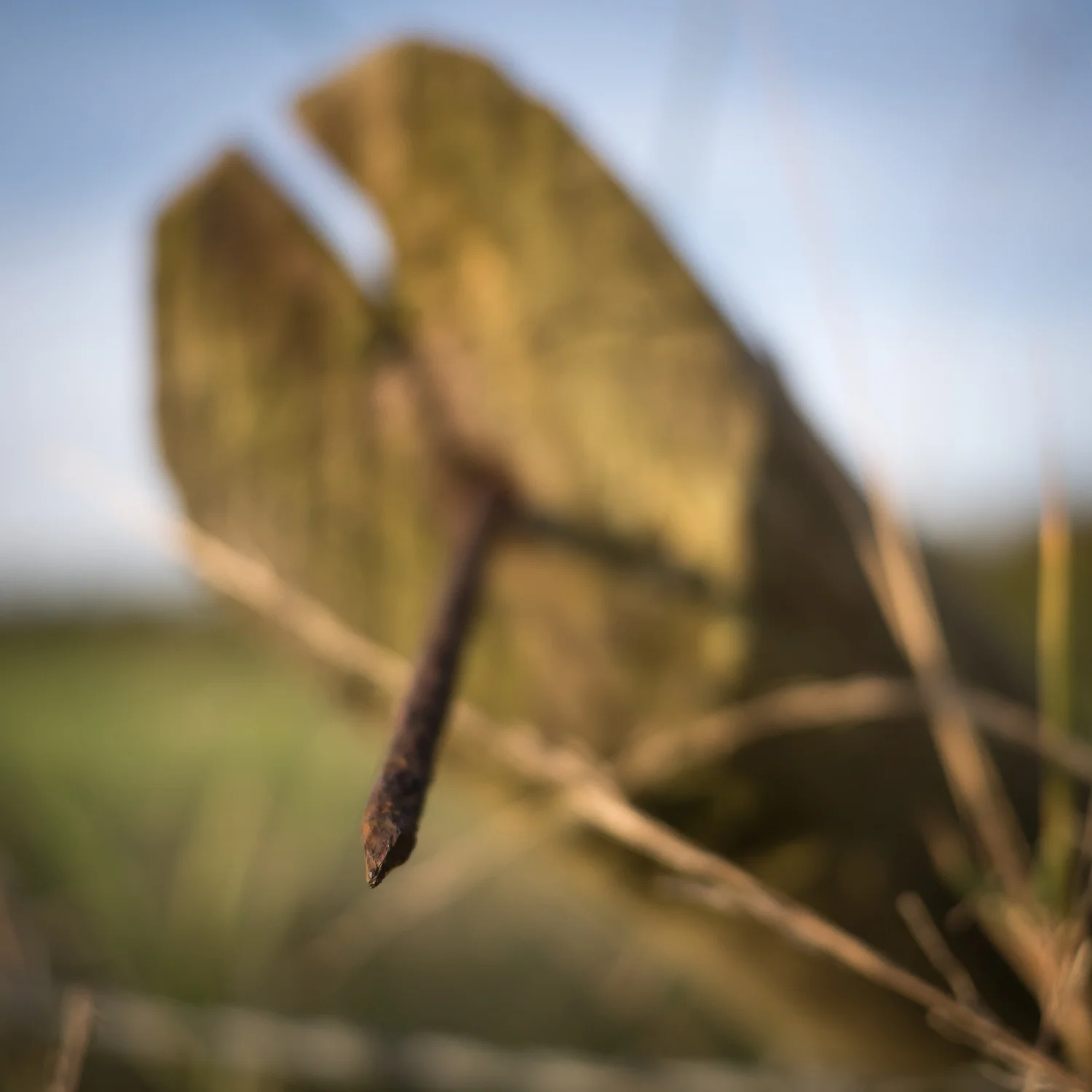 various-3.jpg
