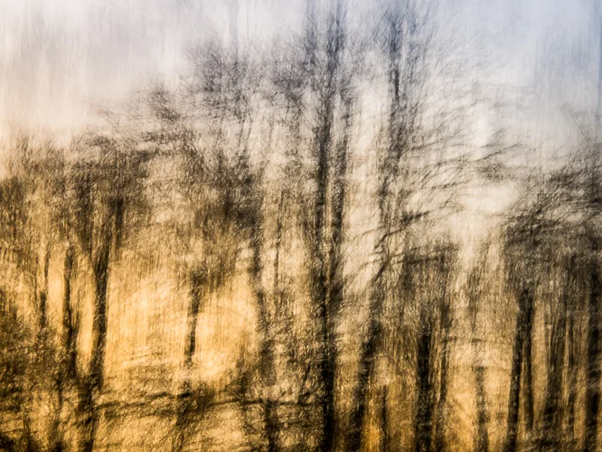 Curiosity and Passion