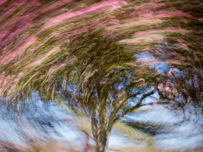 A Walk in the Park
