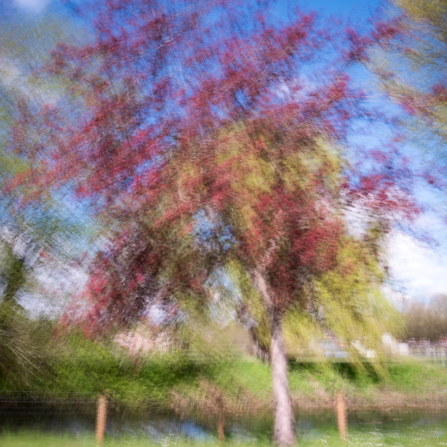 april-8.jpg
